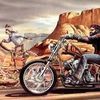 kevinholly540